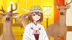 #8 ゆくシカ、くるシカ