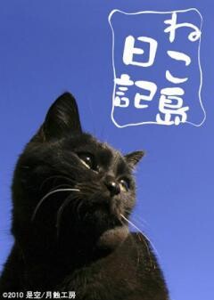 ねこ島日記
