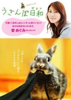 うさぎのよつば　うさんぽ日和