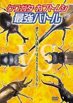 クワガタ・カブトムシ最強バトル