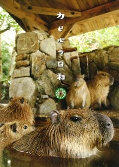 カピバラ日和