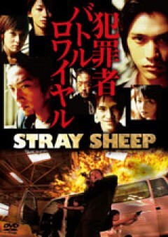 STRAY SHEEP