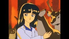 第13話　森の中の螢