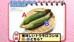 #13 野菜の豆知識 ?「トウモロコシ」・美味しいトウモロコシの見分け方